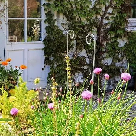 Un Parfum De Violette לינה וארוחת בוקר