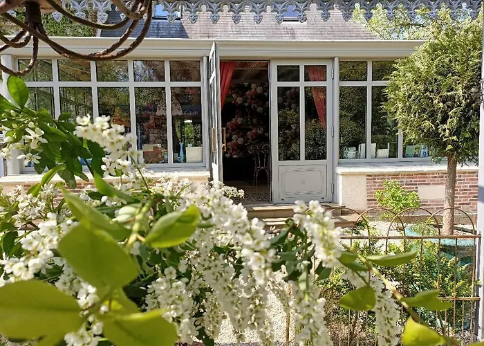 Bed & Breakfast Un Parfum De Violette