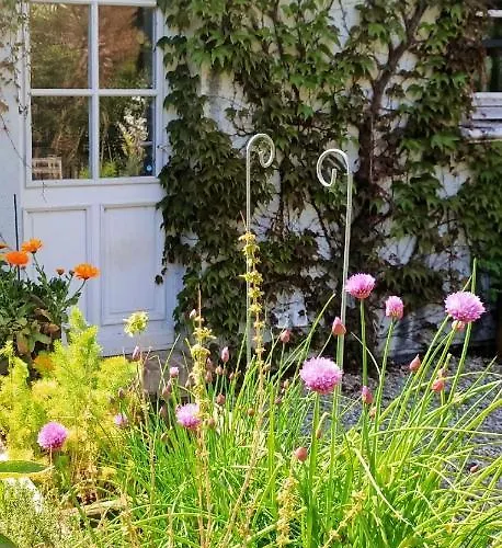 Un Parfum De Violette Bed & Breakfast