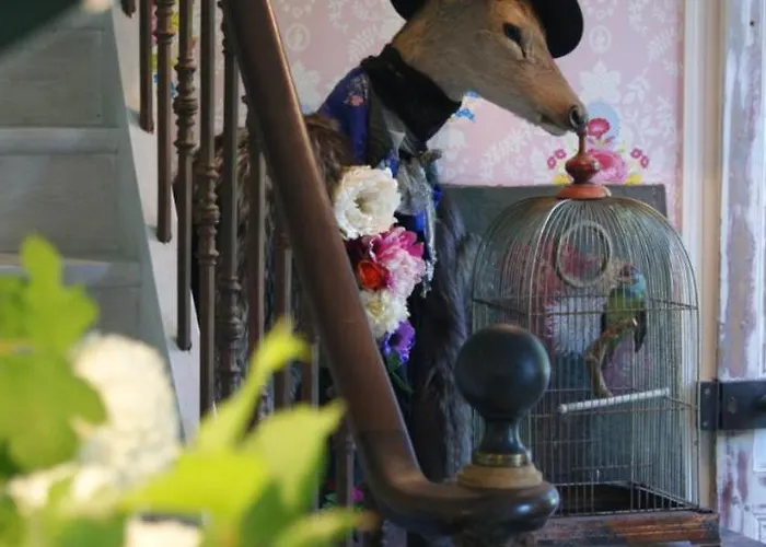 Bed & Breakfast Un Parfum De Violette