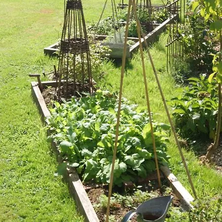 Un Parfum De Violette 3*