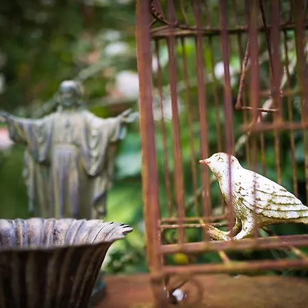 Bed & Breakfast Un Parfum De Violette