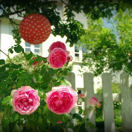 Un Parfum De Violette Bed & Breakfast Fourneville