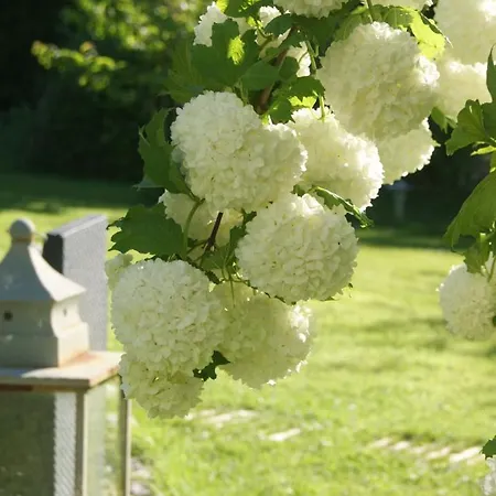 Bed & Breakfast Un Parfum De Violette