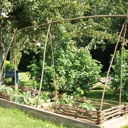 Un Parfum De Violette Fourneville