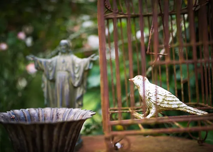 לינה וארוחת בוקר Un Parfum De Violette